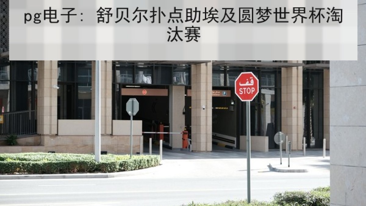 pg电子: 舒贝尔扑点助埃及圆梦世界杯淘汰赛