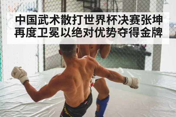 中国武术散打世界杯决赛张坤再度卫冕以绝对优势夺得金牌